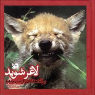 لاغر شوید بی آنکه عقلتان را از دست بدهید 